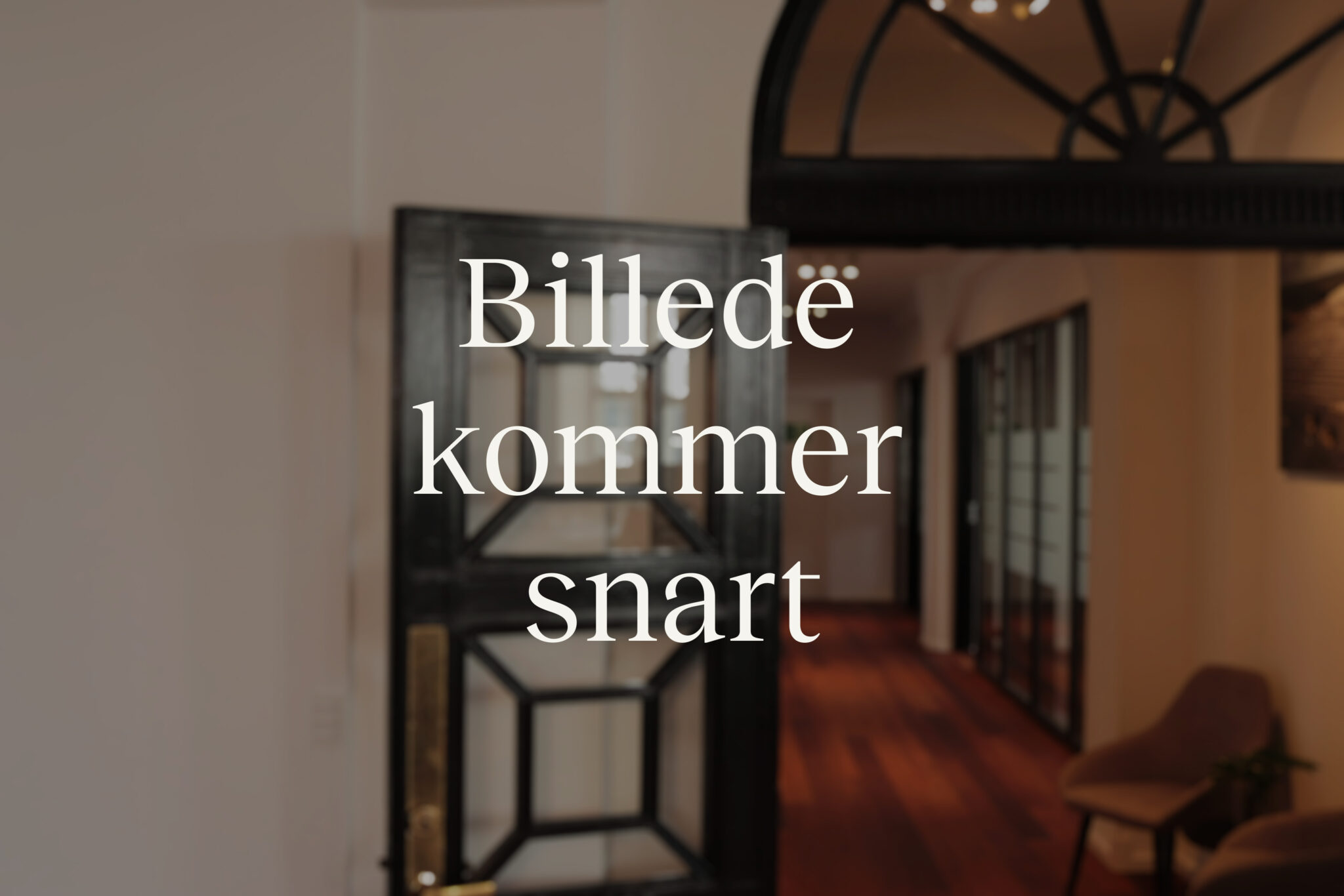 Billede kommer snart