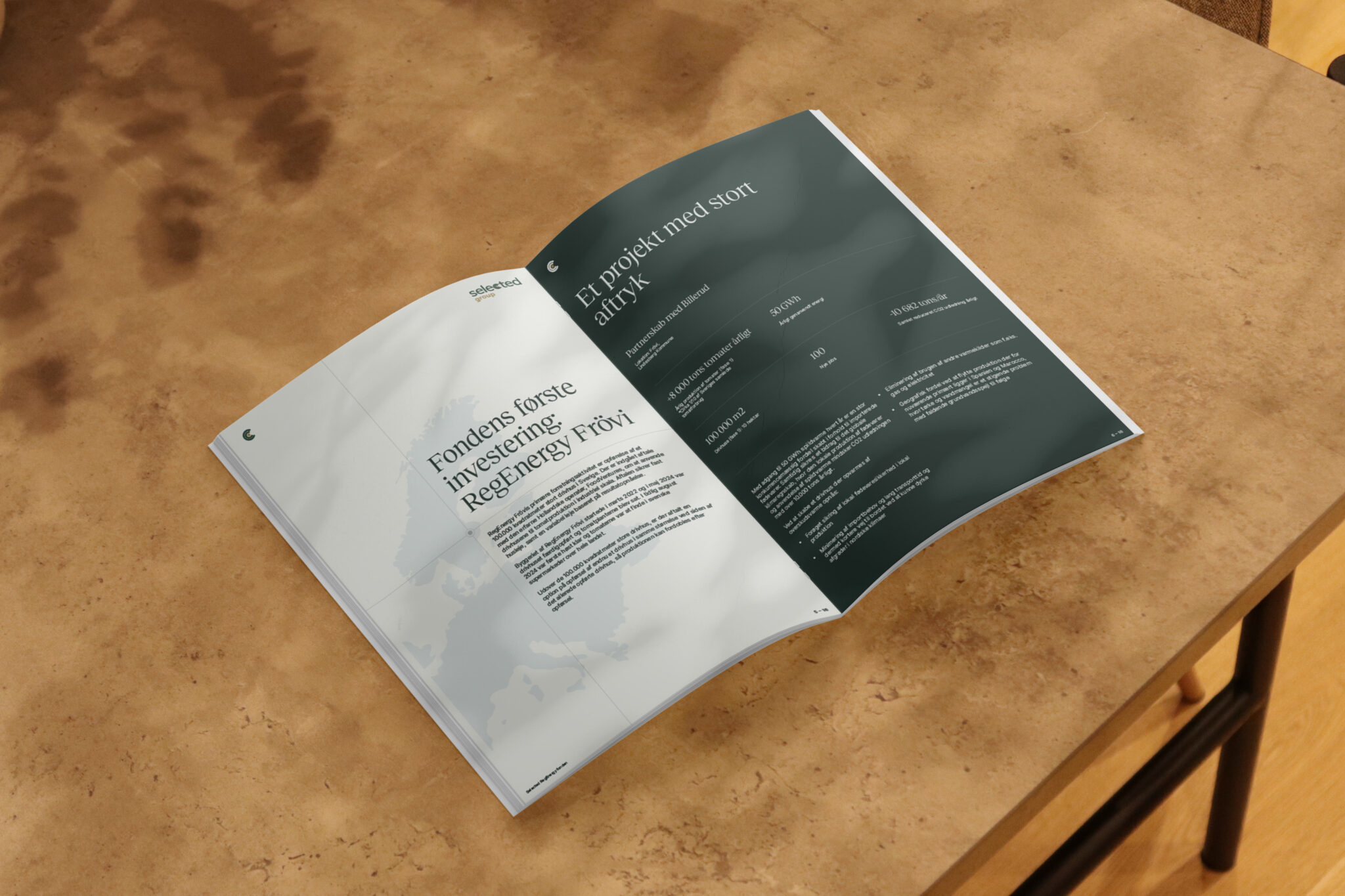 Download Selected RegEnergy Fonden brochure